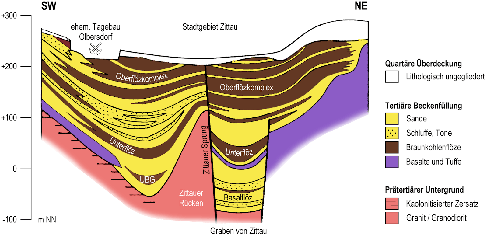 Schematischer Schnitt des Zittauer Beckens (nach HIRSCH et al. 1989 und VULPIUS 2015)